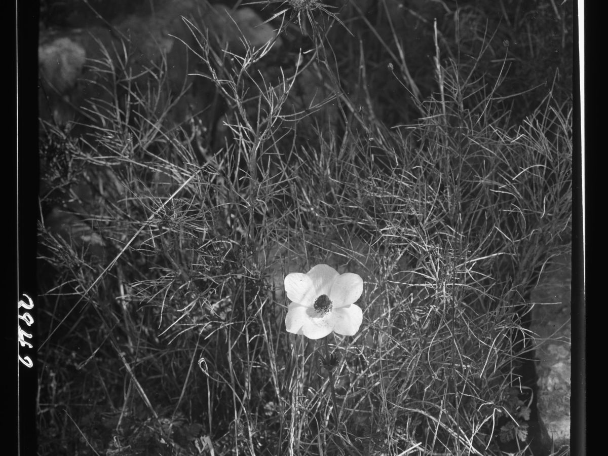 Pédagogie de l&rsquo;improvisation #2